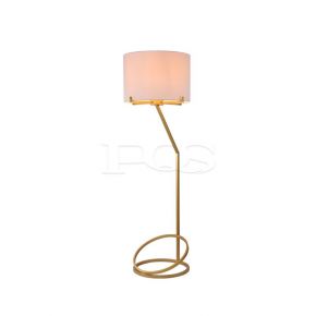Contemporary Golden Frame Circular Base Floor Lamp